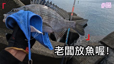 放魚